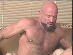 crazy Musclebears - five