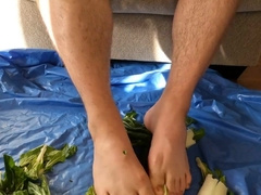 Sole Salad Part 1