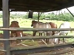 Sex slaves
