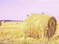 Gay Teen Porn Gb Vintage – Strohfolter (bleisch Vintage)