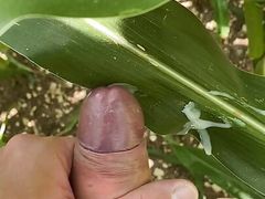 Cumshot in lost place