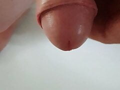my plump glans Teil 2