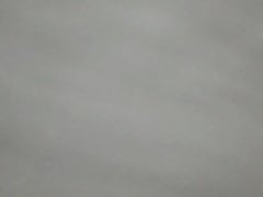 my french blackcock