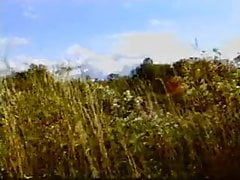 Farm Fun 01