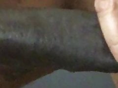 Almond joy dick