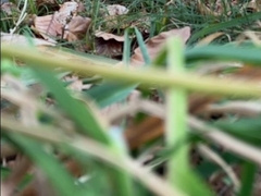 wank in the woods