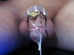 Cumming in Chastity Cage