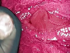 Cum tribute with alessex35 wife's panties
