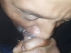 Sucking hard cock