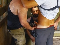 Anal, unshaved, fellows