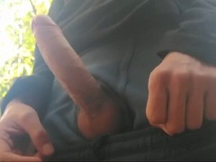 Stroking my cock in the great outdoors