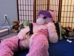 Wooly, fursuit, petplay