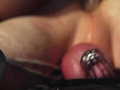 Anal, Gros cul, Bondage, Tir de sperme, Hard, Maîtresse, Nénés, Mouillée