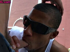 Любители, Минет, Семяизвержение, Черненькие, Геи, На природе, Порнозвезда, На публике