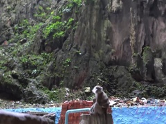 Amateur, Sucer une bite, Petite amie, Huilée, De plein air, Pov, Chatte, Nénés