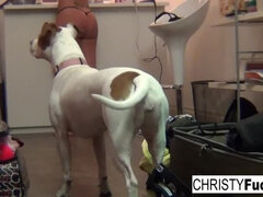 Grosser arsch, Grosse titten, Latina, Lecken, Natürlichen titten, Muschi, Tätowierung, Flotter dreier