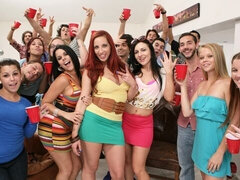 Grote kont, Grote lul, Grote mammen, Pijpbeurt, Hondjeshouding, Feest, Openbaar