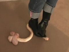 Bull testicle crushing