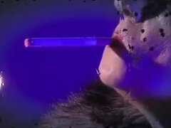 Culo, Mamada, Clásico, Linda, Polla, Fetiche de pies, Natural, Orgasmo