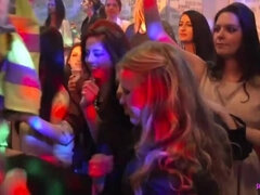 Leie, Schwarz, Blasen, Verrückt, Schwanz, Handjob, Natürlichen titten, Party