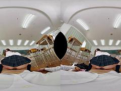 245-003: Doggy, Cowgirl  Missonary VR Porn