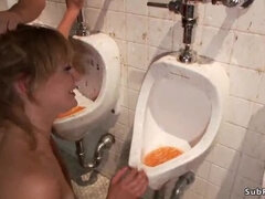 緊縛, 変態, ボンデージ, 服従, フェティッシュ, 陵辱, 苦痛, 公共