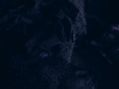 Anaal, Leger, Pijpbeurt, Bruinharig, Sperma in mond, Hardcore, Tiener, Speelgoed