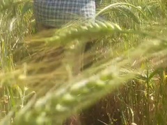 Азиатки, Жопа, Соски, На природе, Бассейн, На публике, Киски, Жена