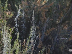 Amateur, Culo, Masturbación, Madres para coger, Coño, Espía, Tetas, Mojado