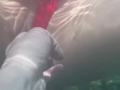 Asiatique, Cul, Gros cul, Grosse, Japonaise, Coréenne, Fille latino, Adolescente