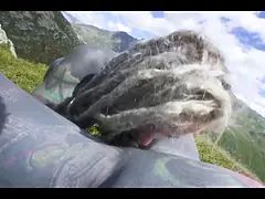 Tattooed couple OUTDOOR ANAL POV fuck