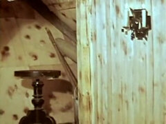 Blonde, Célébrité, Classique, Poilue, Naturelle, Mamelons, Rétro, Jarretelles