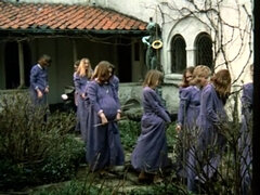 Érotique, Européenne, Groupe, Poilue, Rétro ancien