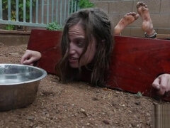 Cul, Sucer une bite, Brunette brune, Femelle, Fétiche des pieds, Hard, Hd, Solo