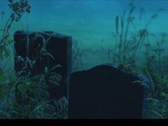 Categorie - Hondjeshouding