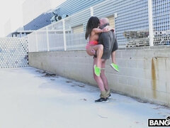 Bruinharig, Hardcore, Buiten, Kut duiken, Roemeense