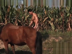 Hd Porn Movies