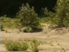 Jt Fucks Bp Hot In Wide Ass