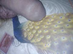 young colombian porn with big penis full of milk