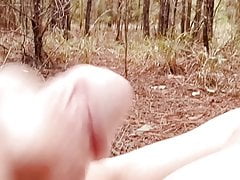 Nature vibes