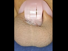 Solo Man Masturbates In The Chastity Cage