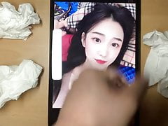 korean friend cumtribute 9