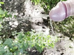 Hard in piss in the woods