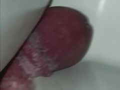Bound small cock crushed in cooler