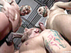 Homo, bez ochrany, bear bareback