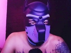 alpha pup encounter