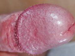 Crowned Glans with uncut Foreskin Cumshot close-up