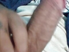 Mostrando la verga