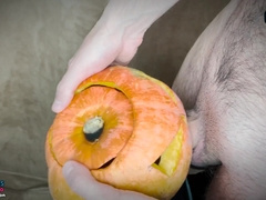 Stud humps pumpkin on Halloween