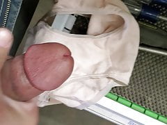 Quick cum in mom's pantie's